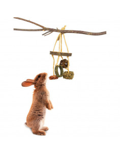 JR Farm Snack-Mobile 100gr 2