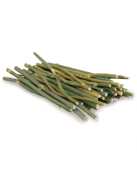 JR Farm Dill Sticks 15gr