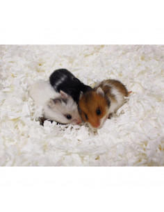 Naturligt Pappersströ 4.1L/570GR Vit 2