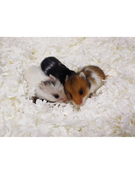 Naturligt Pappersströ 4.1L/570GR Vit