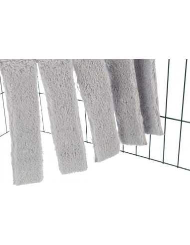 Sunny koja till hamster