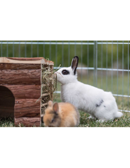 Ila hus med höhäck