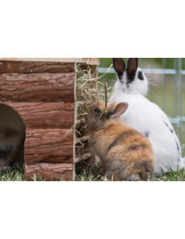 Ila hus med höhäck