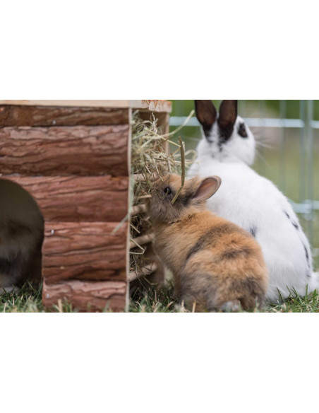 Ila hus med höhäck