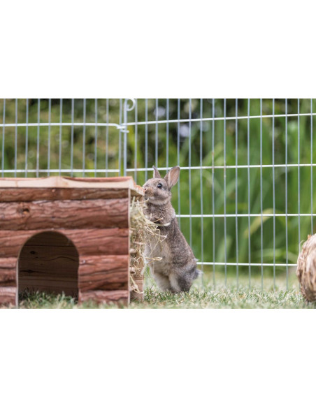 Ila hus med höhäck