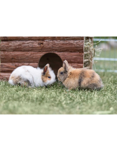 Ila hus med höhäck