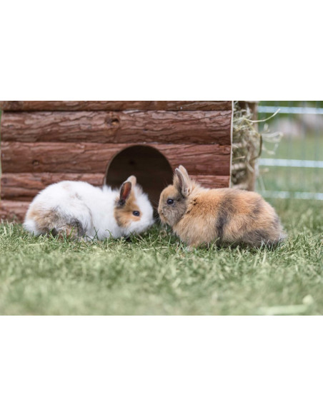 Ila hus med höhäck