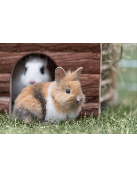 Ila hus med höhäck