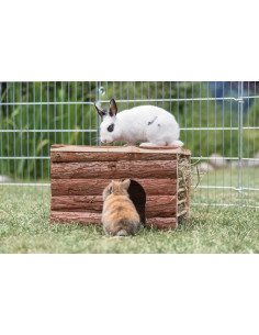 Ila hus med höhäck 2