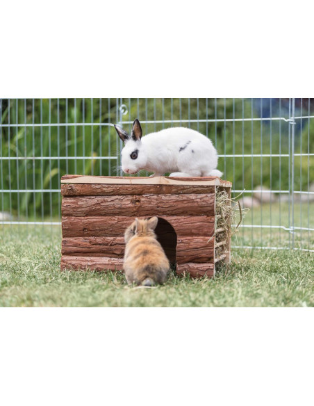 Ila hus med höhäck