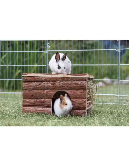 Ila hus med höhäck