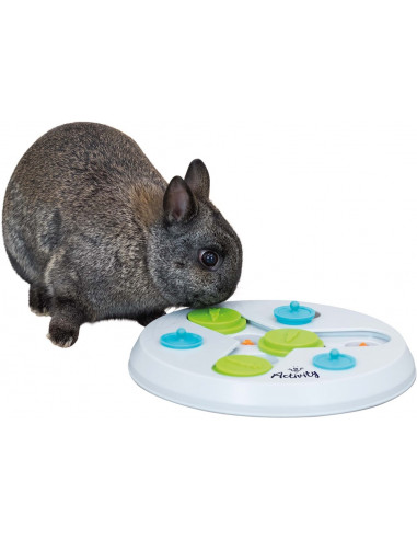 Aktivitetsspel Slide & Fun Board