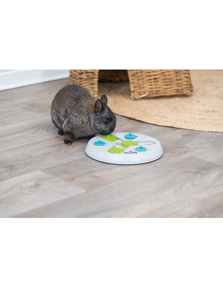 Aktivitetsspel Slide & Fun Board