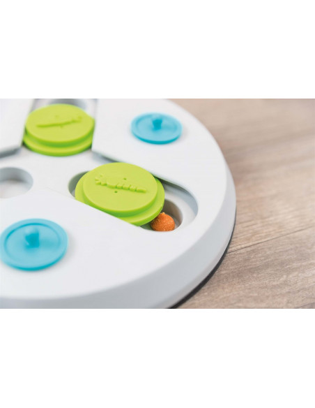 Aktivitetsspel Slide & Fun Board