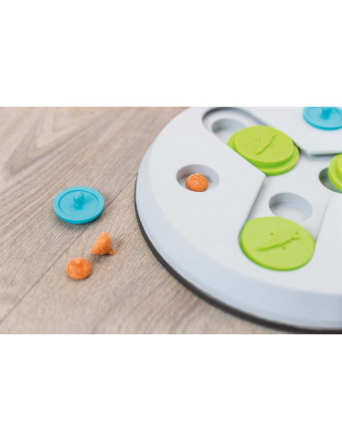 Aktivitetsspel Slide & Fun Board