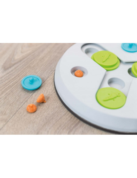 Aktivitetsspel Slide & Fun Board