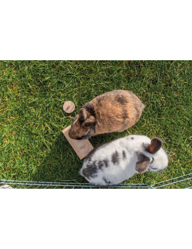 Snacksbox, Trä, 14 × 3 × 7 cm