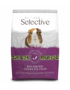 Sup Selective Guinea Pig