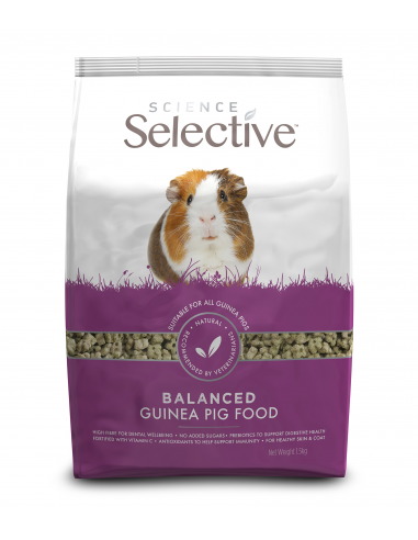 Sup Selective Guinea Pig