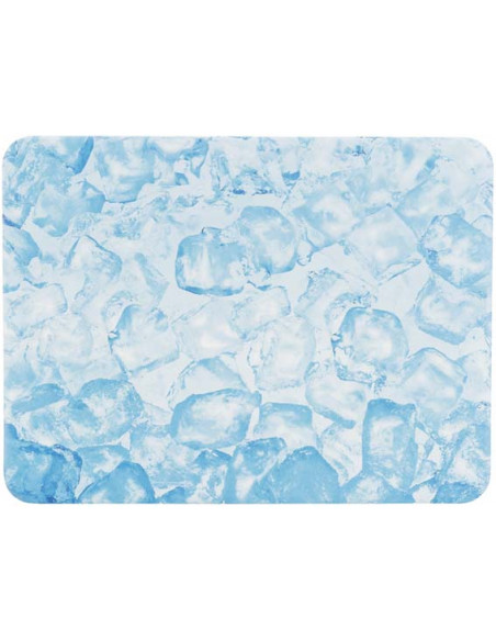 Kylplatta till hamster/mus