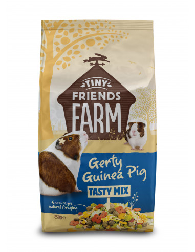 TFF Gerty Guinea Pig 850g