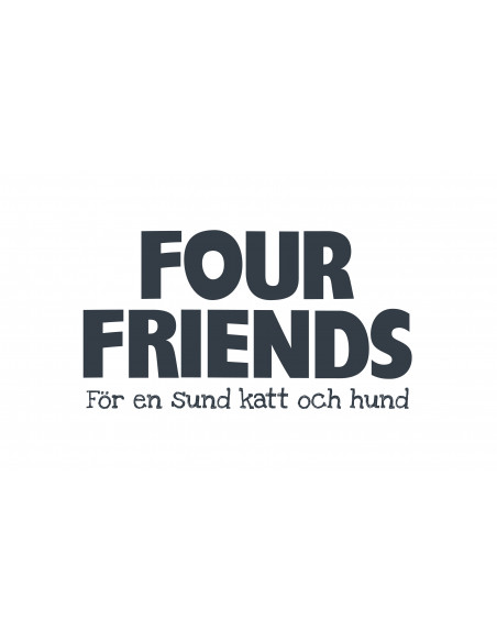 Four Friends