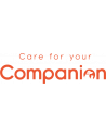Companion